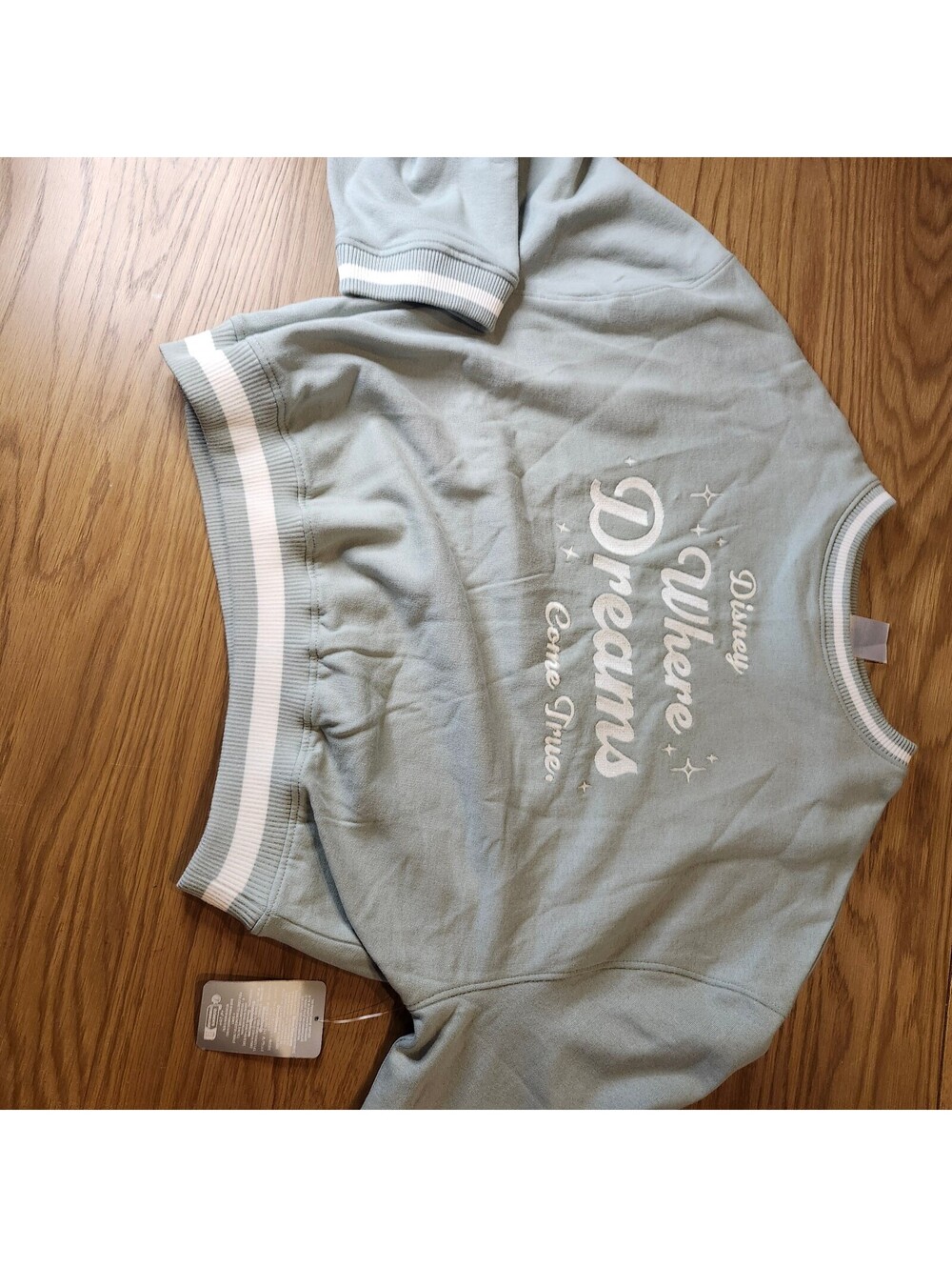 Disney Where Dreams Come True Light Blue Short Sleeve Sweatshirt Size XL